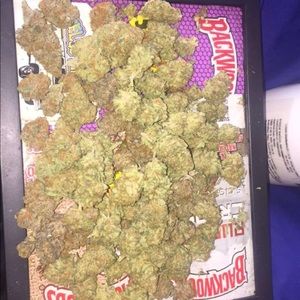 Meet your Posher, Dre